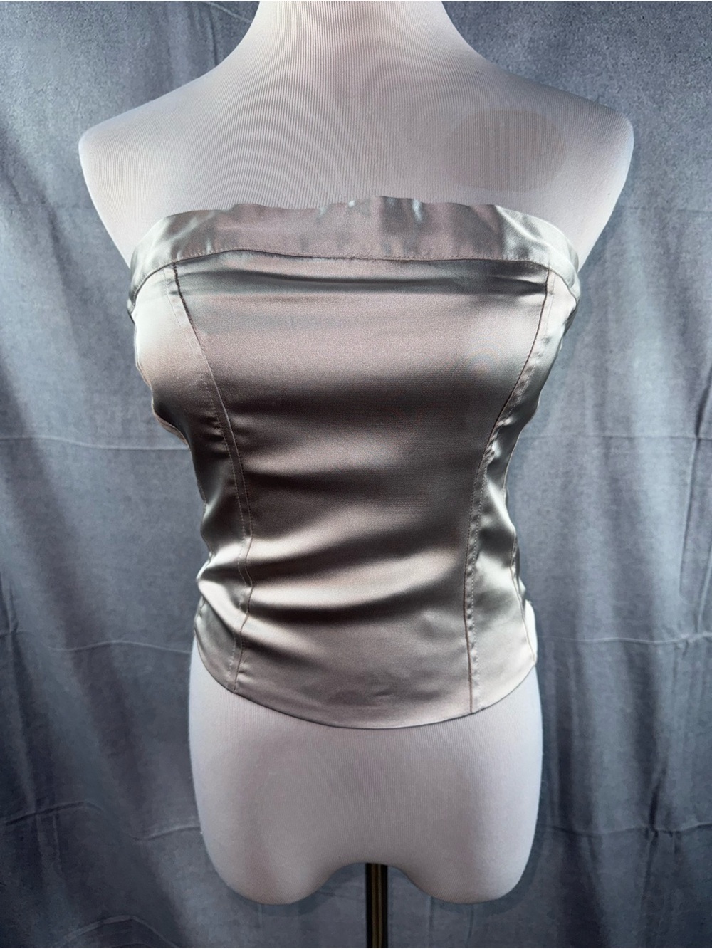 2564-wild fable Strapless Satin Bustier Top in Champagne